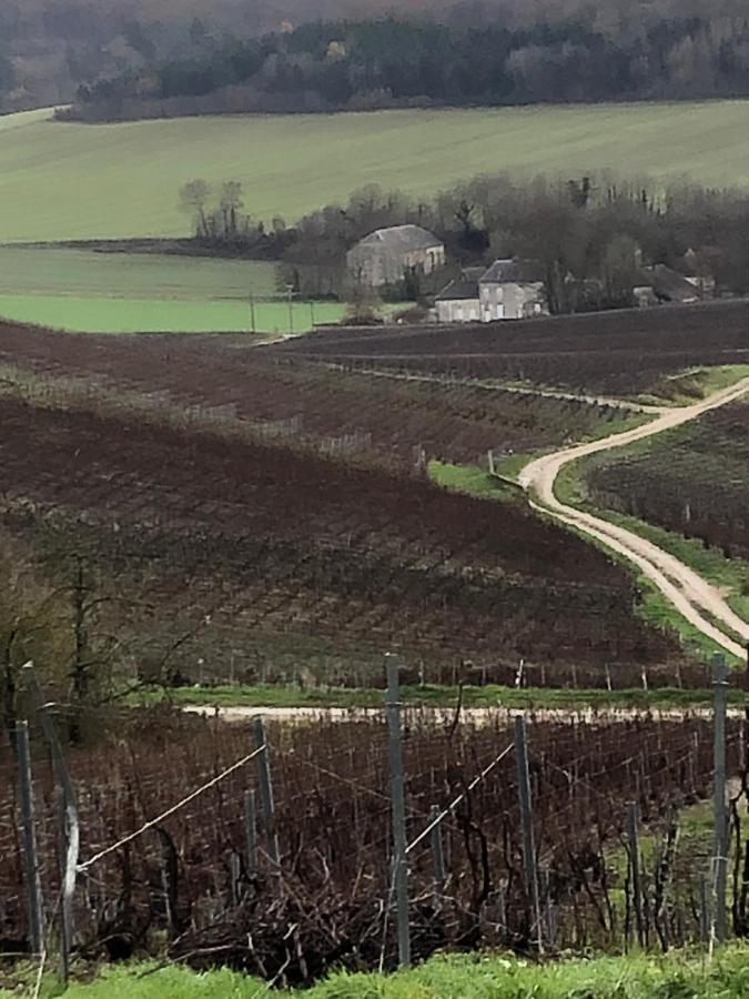 Floressens En Champagne Terrasse Privative Sur Le Vignoble Villa Fleury-la-Riviere Dış mekan fotoğraf