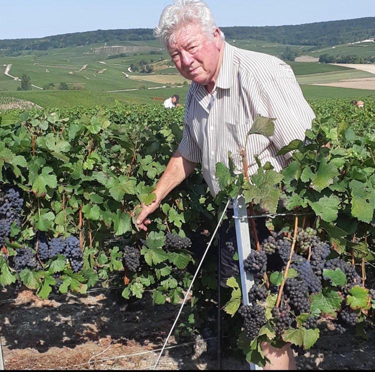 Floressens En Champagne Terrasse Privative Sur Le Vignoble Villa Fleury-la-Riviere Dış mekan fotoğraf