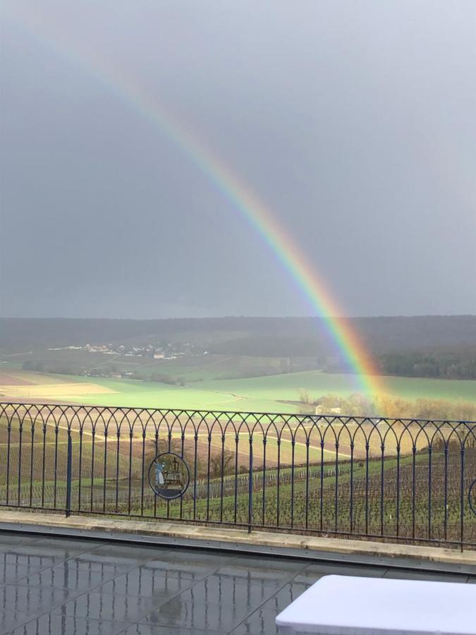 Floressens En Champagne Terrasse Privative Sur Le Vignoble Villa Fleury-la-Riviere Dış mekan fotoğraf