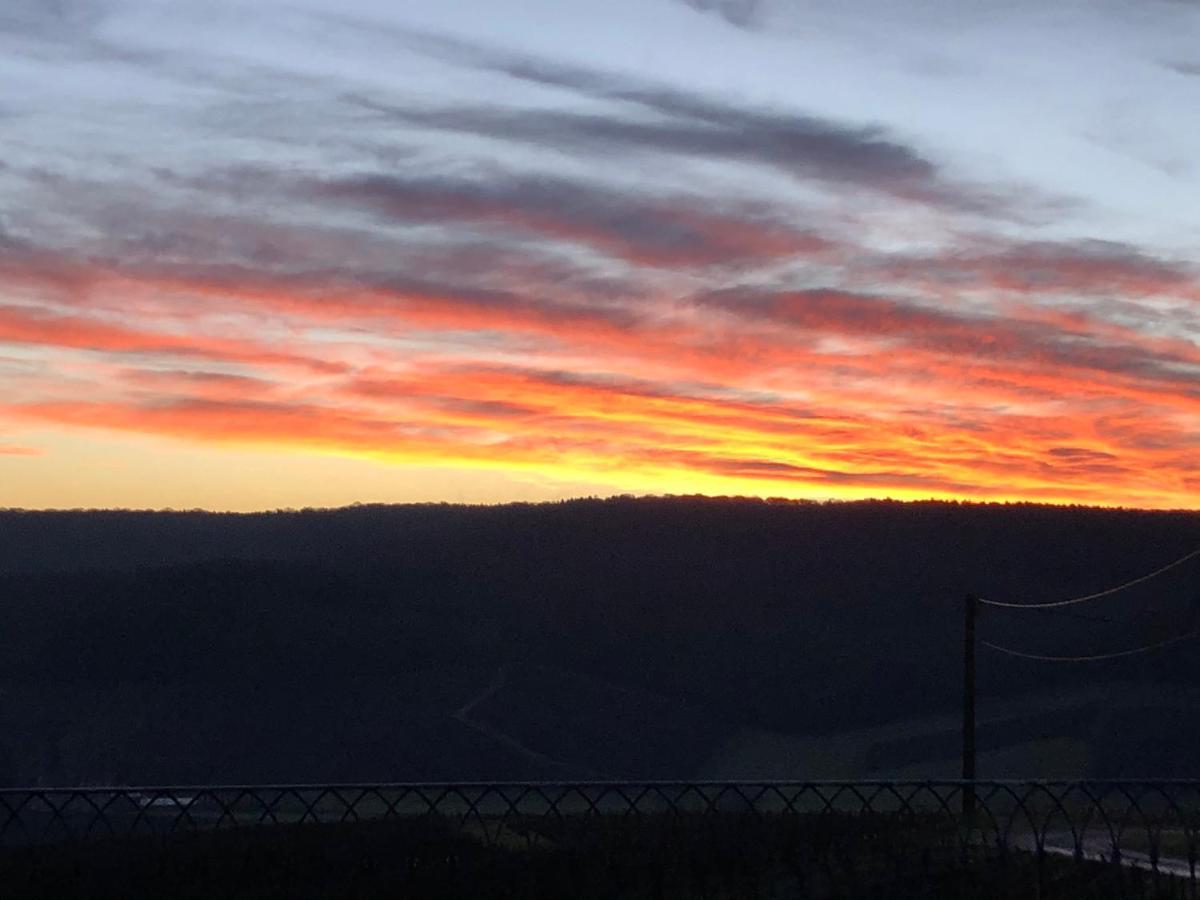 Floressens En Champagne Terrasse Privative Sur Le Vignoble Villa Fleury-la-Riviere Dış mekan fotoğraf