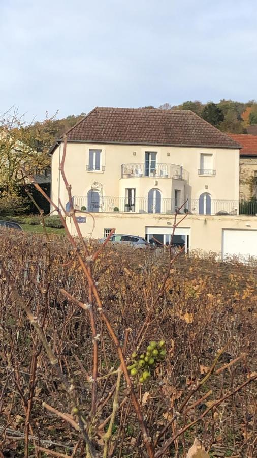 Floressens En Champagne Terrasse Privative Sur Le Vignoble Villa Fleury-la-Riviere Dış mekan fotoğraf