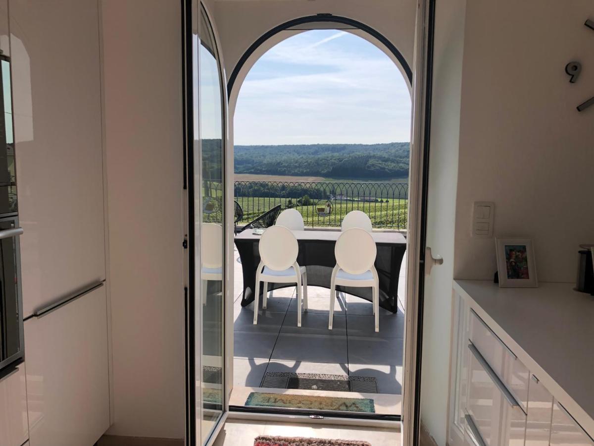 Floressens En Champagne Terrasse Privative Sur Le Vignoble Villa Fleury-la-Riviere Dış mekan fotoğraf