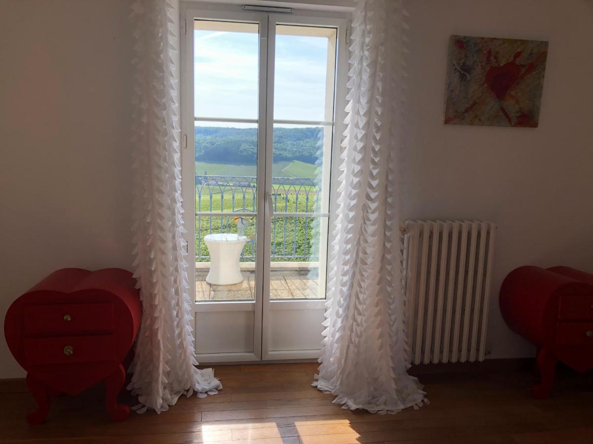 Floressens En Champagne Terrasse Privative Sur Le Vignoble Villa Fleury-la-Riviere Dış mekan fotoğraf
