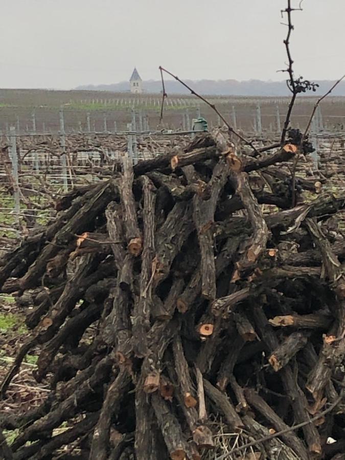 Floressens En Champagne Terrasse Privative Sur Le Vignoble Villa Fleury-la-Riviere Dış mekan fotoğraf