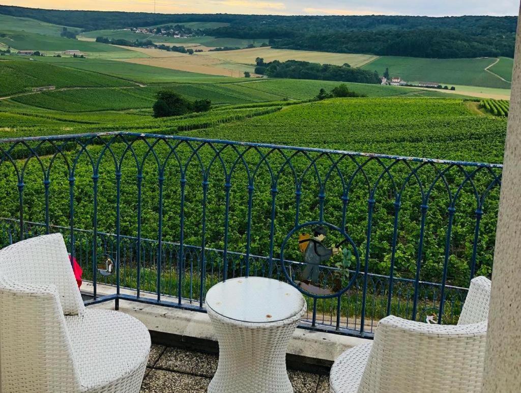 Floressens En Champagne Terrasse Privative Sur Le Vignoble Villa Fleury-la-Riviere Dış mekan fotoğraf
