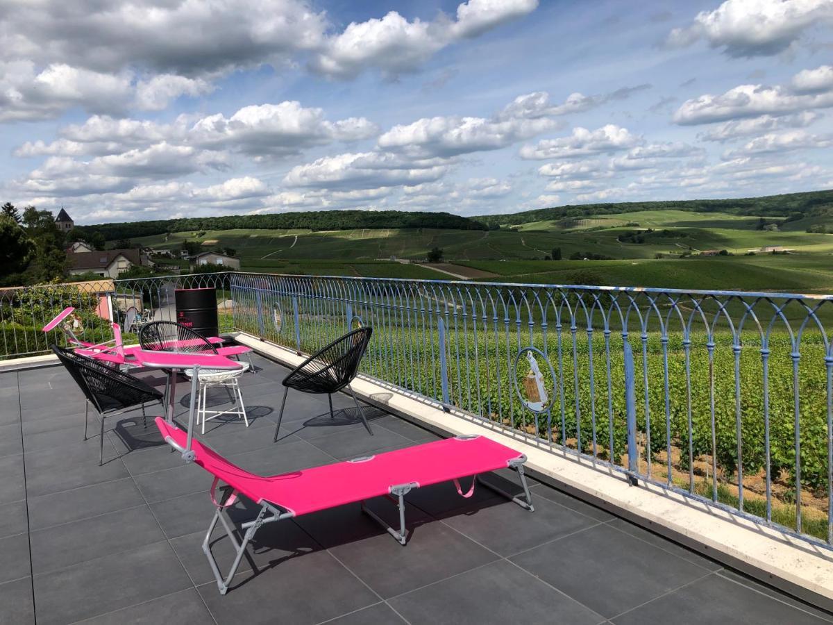 Floressens En Champagne Terrasse Privative Sur Le Vignoble Villa Fleury-la-Riviere Dış mekan fotoğraf