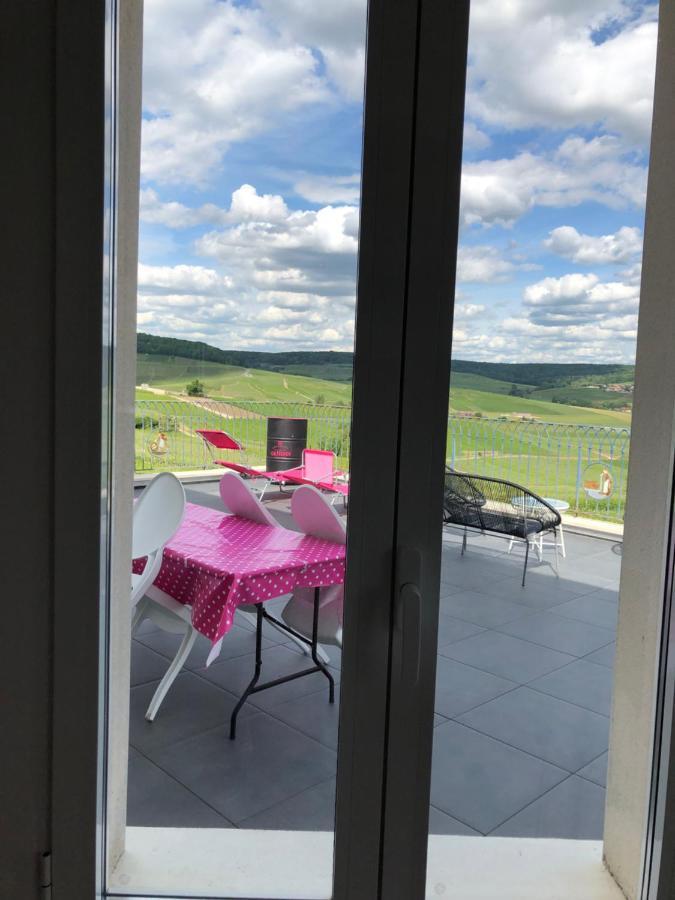 Floressens En Champagne Terrasse Privative Sur Le Vignoble Villa Fleury-la-Riviere Dış mekan fotoğraf