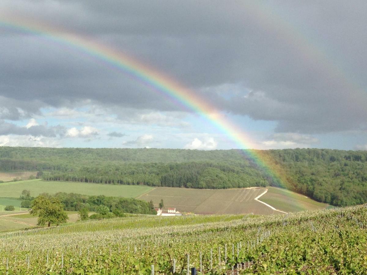 Floressens En Champagne Terrasse Privative Sur Le Vignoble Villa Fleury-la-Riviere Dış mekan fotoğraf