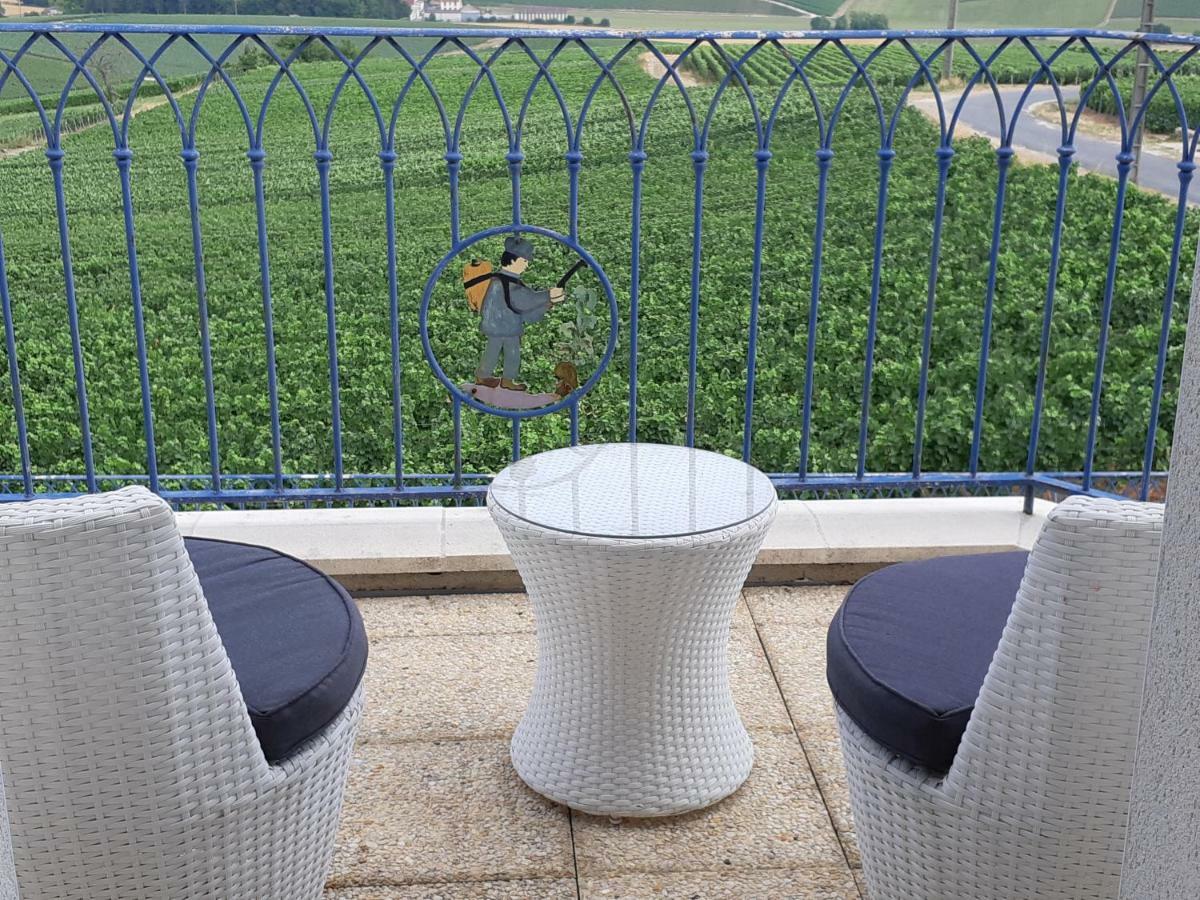 Floressens En Champagne Terrasse Privative Sur Le Vignoble Villa Fleury-la-Riviere Dış mekan fotoğraf